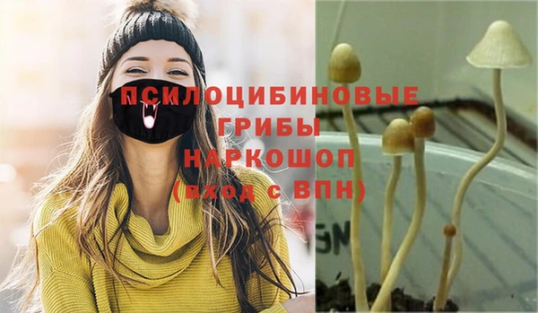 COCAINE Алексеевка