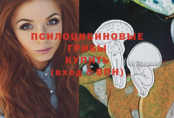 дживик Алексин